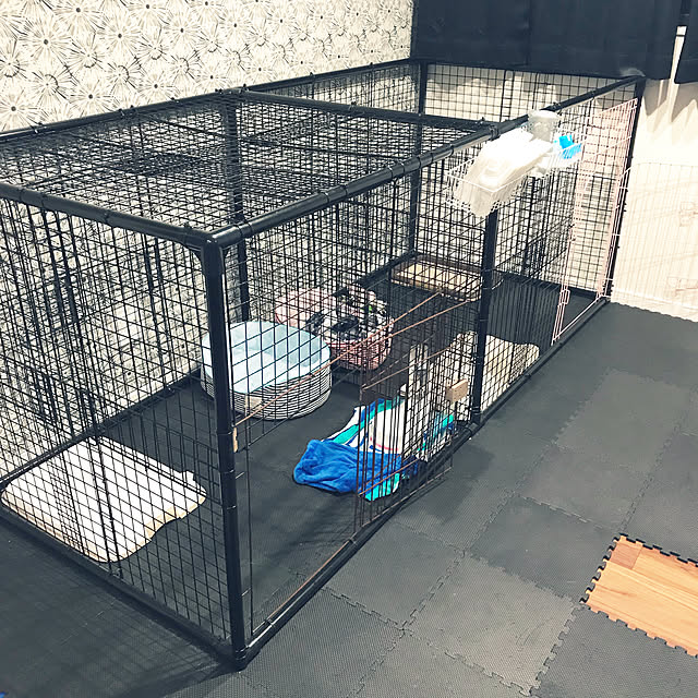 Megugu0512さんの実例写真