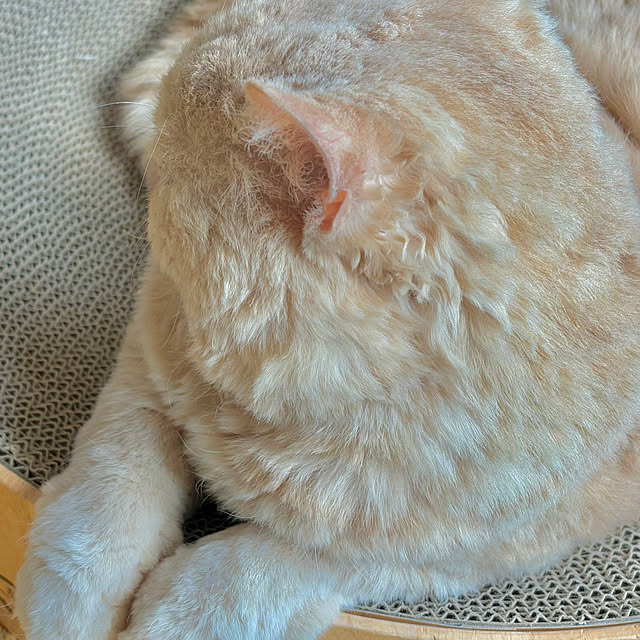 naokoさんの部屋