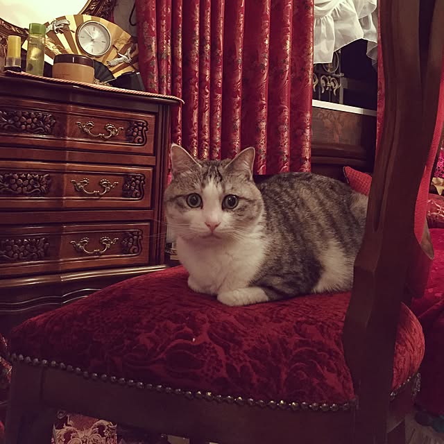 emmyyさんの実例写真