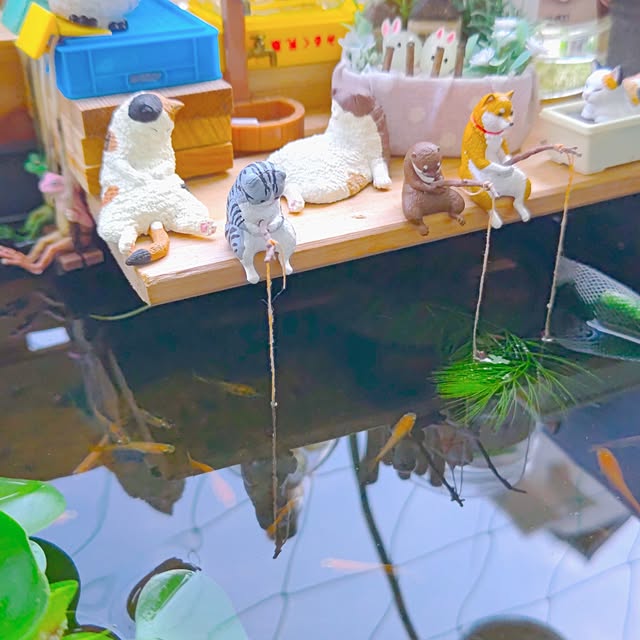 mariaさんの部屋
