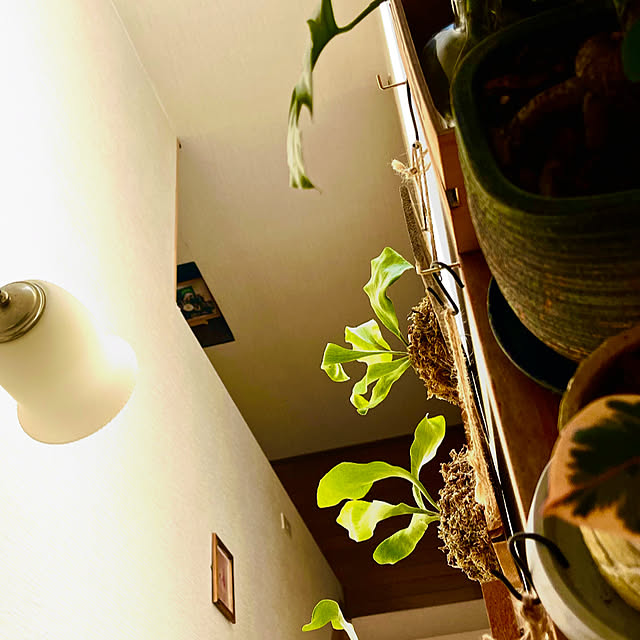 yukaringさんの部屋