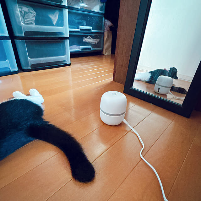 moolさんの部屋