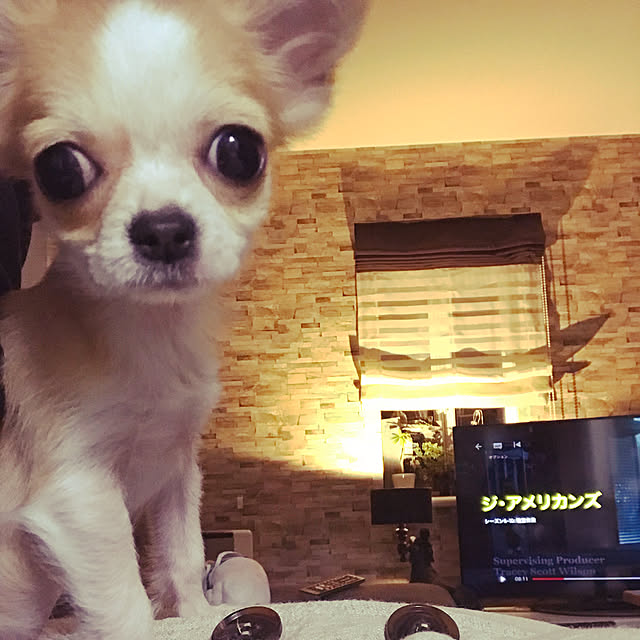 ricoさんの実例写真