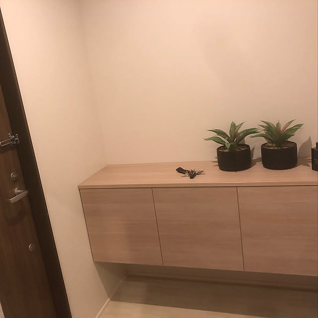 玄関/入り口のインテリア実例 - 2019-02-13 13:24:34