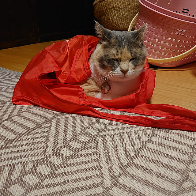 fukuさんの実例写真