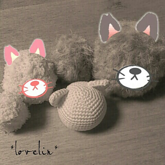 lovelinさんの実例写真