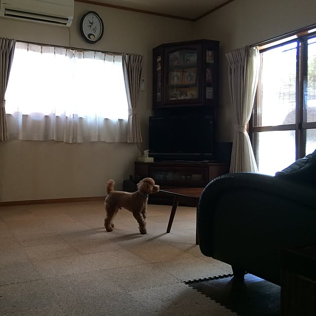 jun-pさんの実例写真