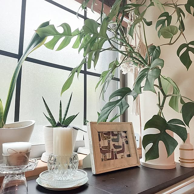 makkyさんの部屋