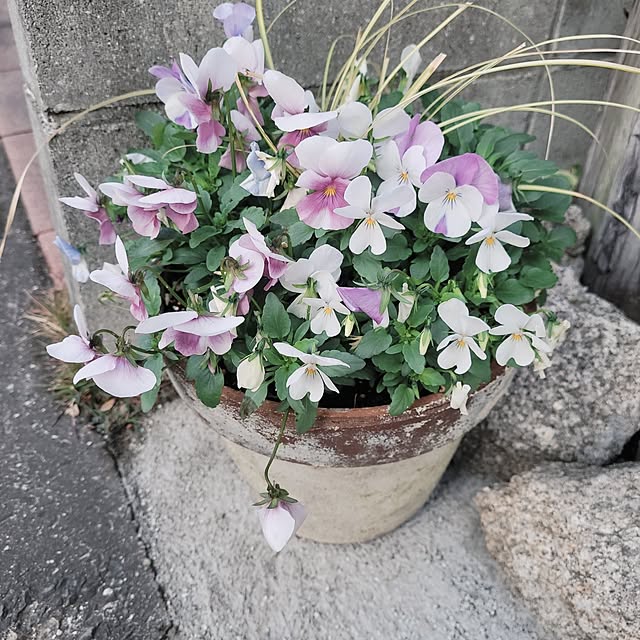 masarinn.さんの部屋