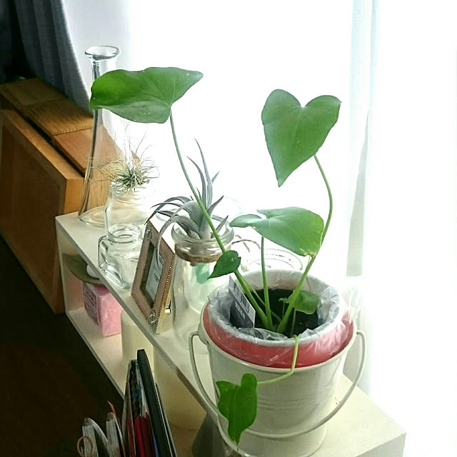 机/ナチュラル/雑貨/観葉植物/ダイソー...などのインテリア実例 - 2020-07-05 17:39:54
