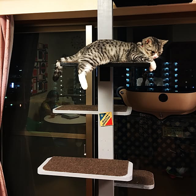 Shojiさんの実例写真
