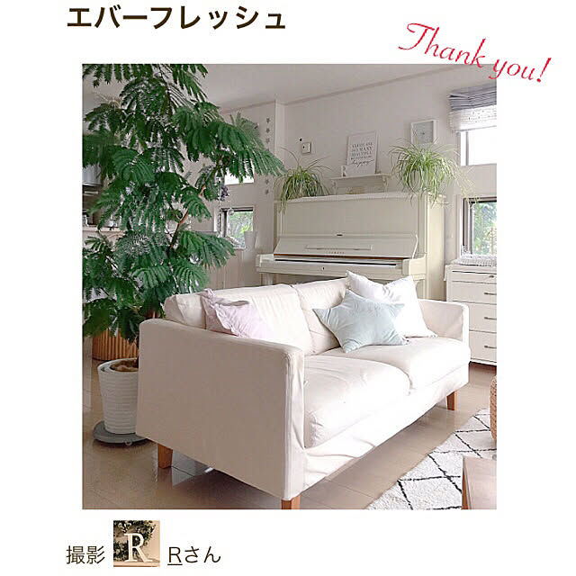 Rさんの実例写真