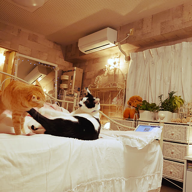 asuminさんの実例写真