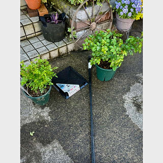 CoCo0617さんの実例写真