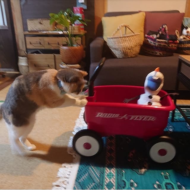fukuさんの実例写真