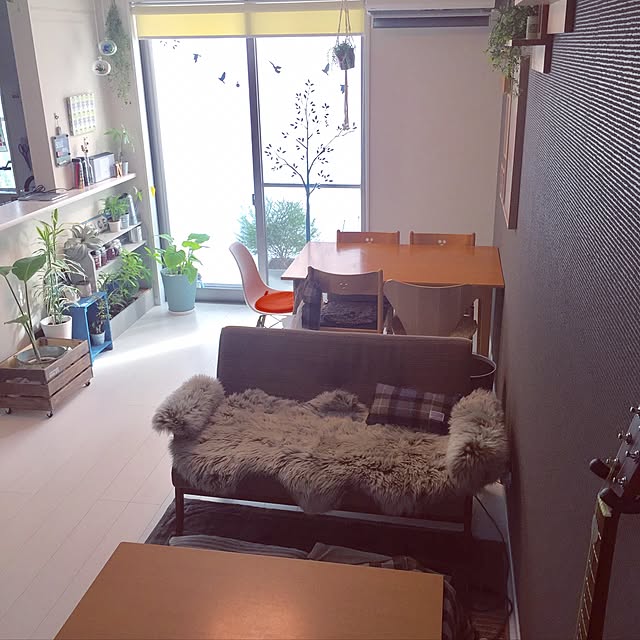 Mauiさんの実例写真