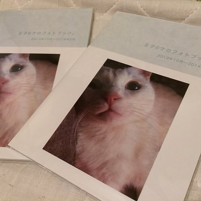 inoさんの実例写真