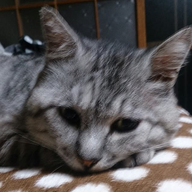 yukaさんの実例写真