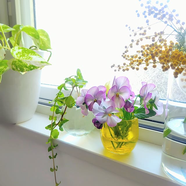 Jijiさんの実例写真