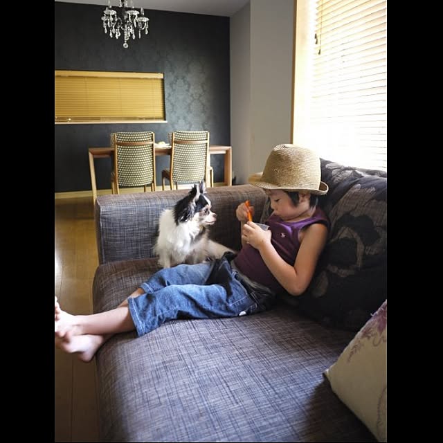 pomponelaさんの実例写真