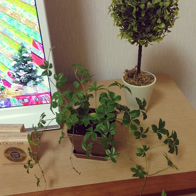 kinoさんの実例写真
