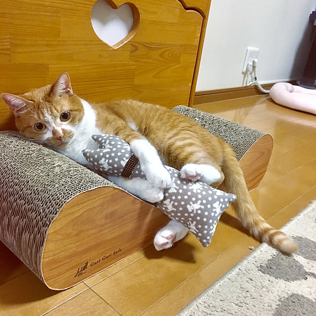 cocomaroさんの実例写真