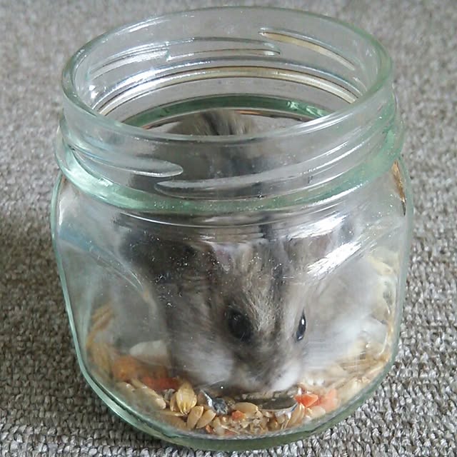 miwa14さんの実例写真