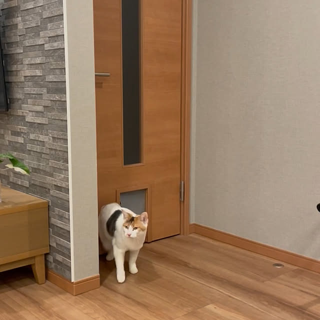 ikuzakさんの部屋