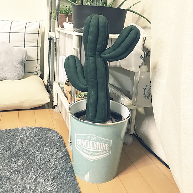powakyonさんの実例写真