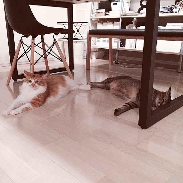 Reikoさんの実例写真