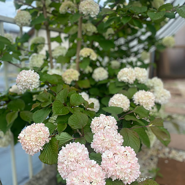 r.k.m.n_n.3.4.5さんの部屋