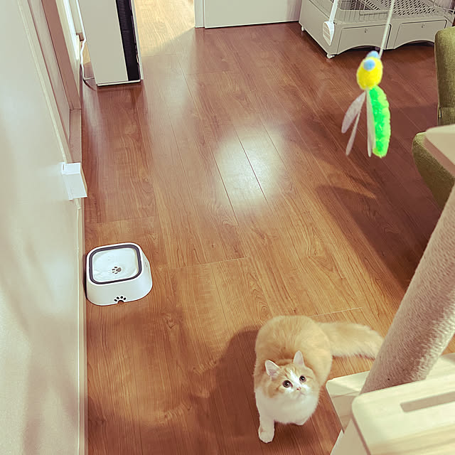 junさんの実例写真