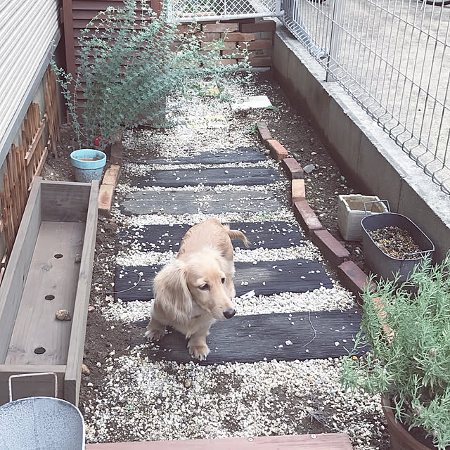 na__kaさんの実例写真
