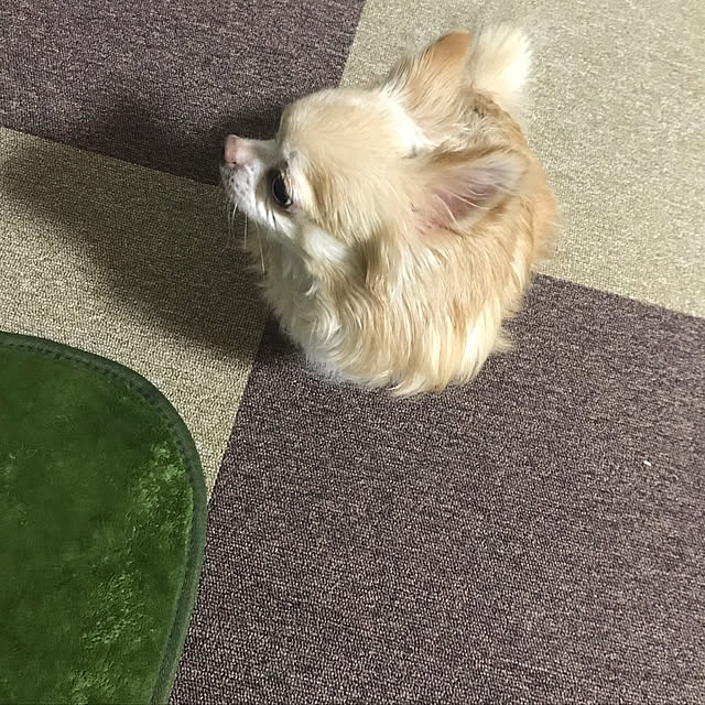 MIUさんの実例写真