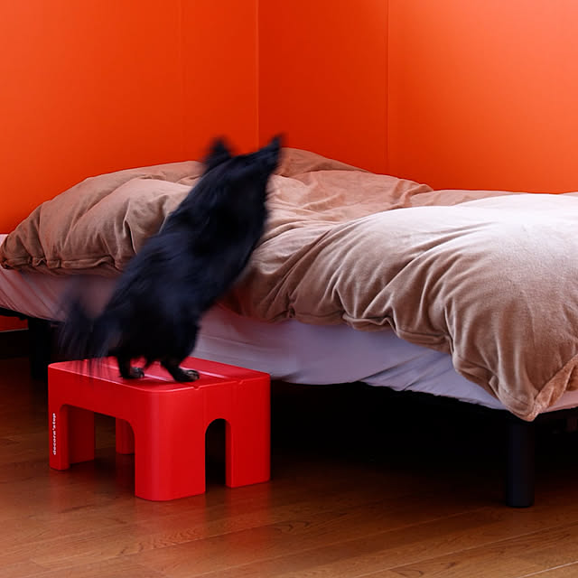 SANKAさんの実例写真