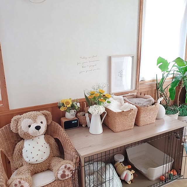 satosanさんの部屋