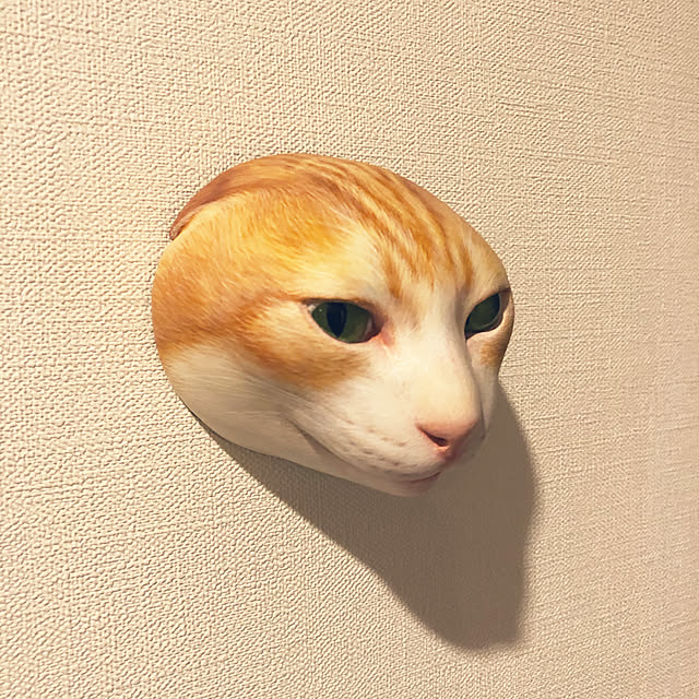 youkoさんの実例写真