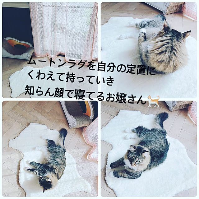 Akie.otsukaさんの実例写真