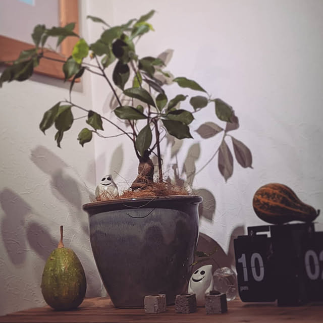 R+homeさんの実例写真