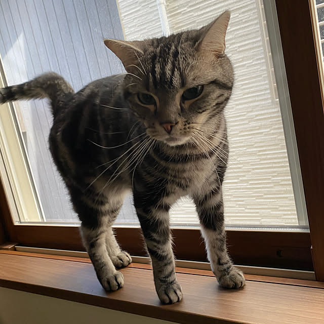 KotarouKunさんの実例写真