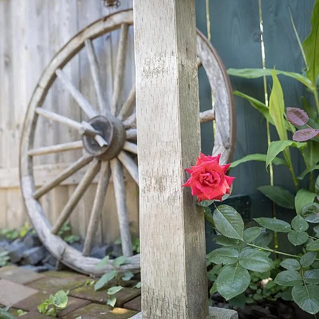 Aether_Gardenさんの実例写真