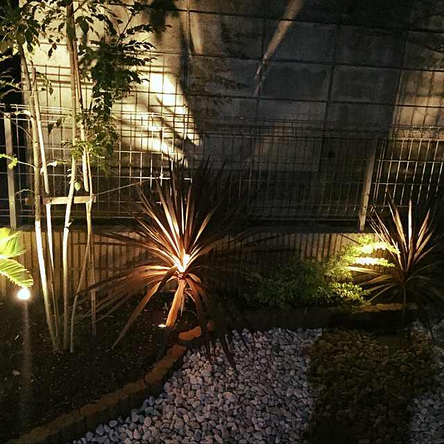 実例写真
