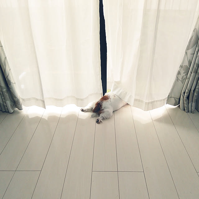 mintさんの実例写真