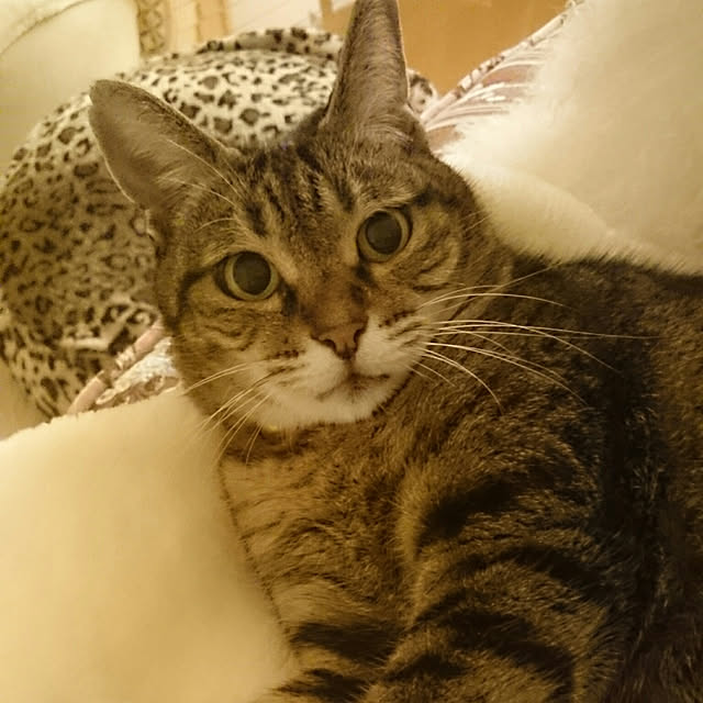 lilyさんの実例写真