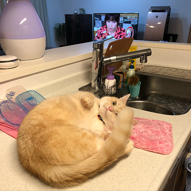 mutsuさんの実例写真
