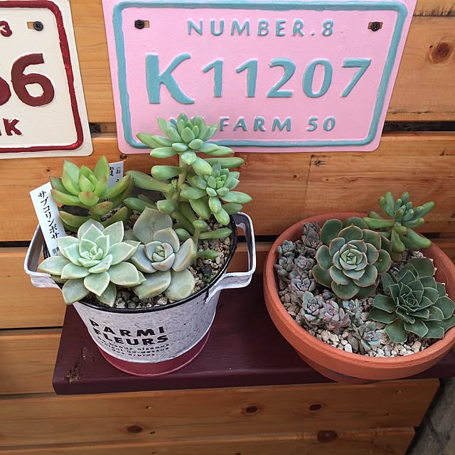 buribuさんの実例写真
