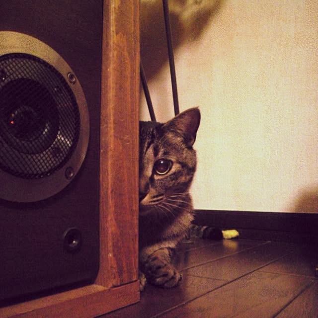 jnkaiさんの実例写真