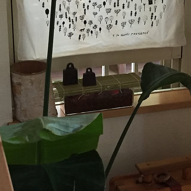 58さんの実例写真