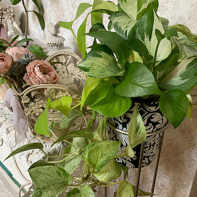 AYUKOさんの実例写真