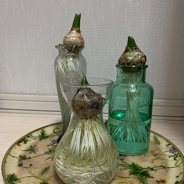 eshinobumさんの実例写真